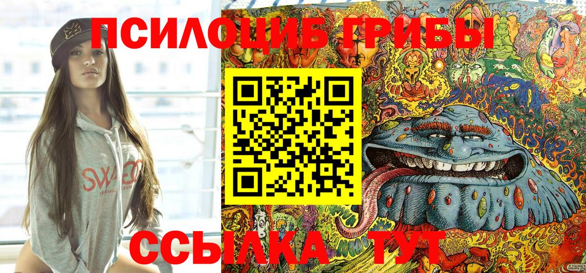 Псилоцибиновые грибы Psilocybine cubensis Десногорск